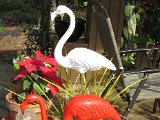 IMG_0686.JPG