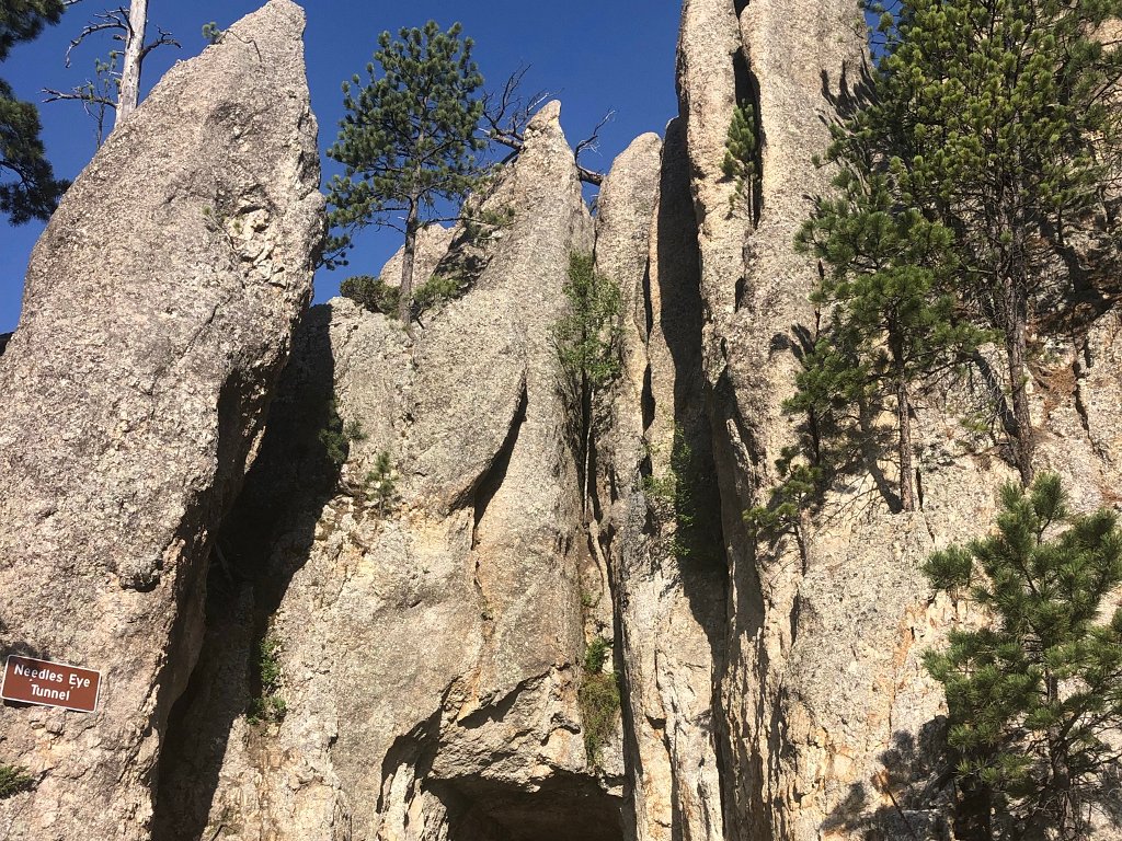 14-17-Custer State Park